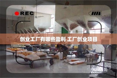 創業工廠的盈利密碼 調味品生產項目的機遇與挑戰