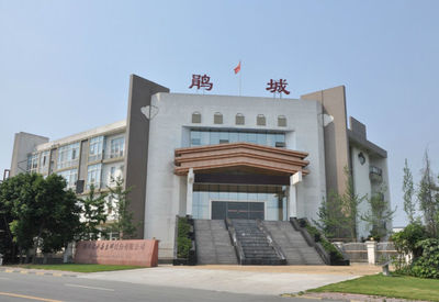 鵑城牌 傳統與創新并蓄，鑄就調味品行業標桿